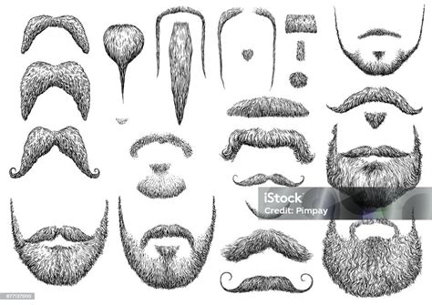 Beard Illustration Drawing Engraving Ink Line Art Vector Stock