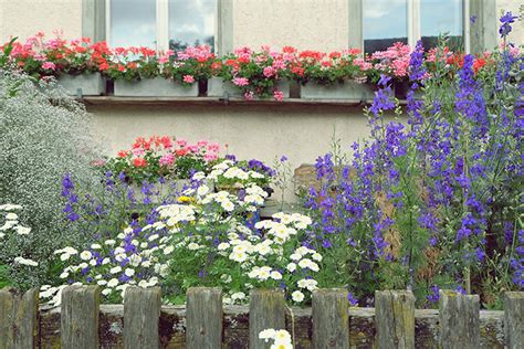 Plantas Con Flores Altas Para Un Jardín Que Se Haga Notar Mejor Con Salud