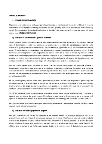 Tema Derecho Procesal Pdf