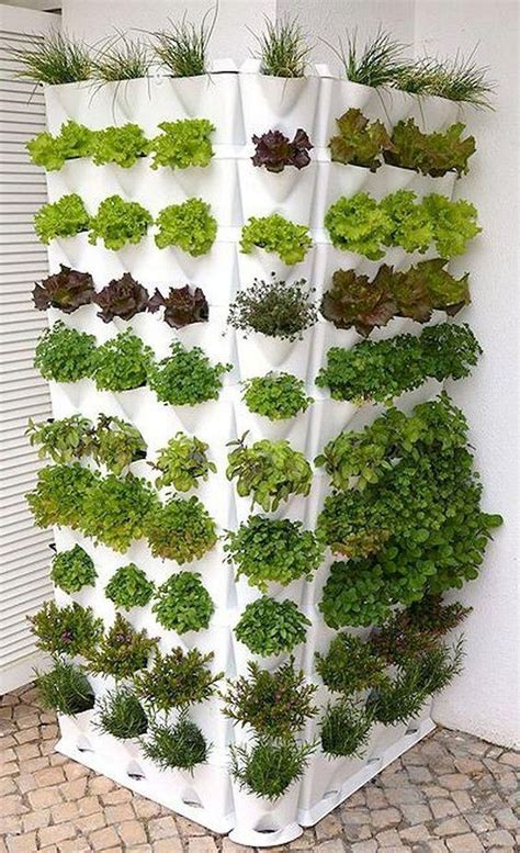 Beautiful To Try Hydroponic Gardening For Beginners Design Ideas And Remodel 1 Hydroponic