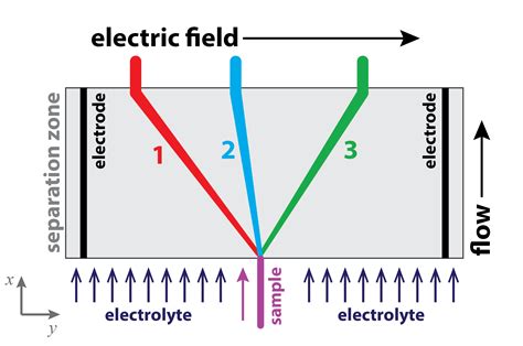 New Perspectives On Continuous Flow Electrophoresis 2024 Wiley