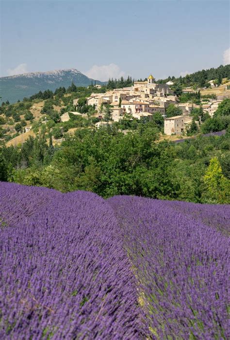 Ultimate Sault Lavender Fields Tour South Of France Scenery Provence