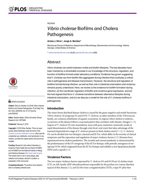 PDF Vibrio Cholerae Biofilms And Cholera Pathogenesis