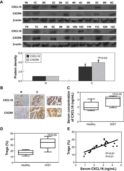 Cxcl Cxcr Scxcl And Circulating Tregs In Gist Specimens Notes