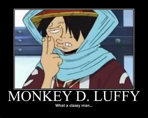 One Piece Funny Pictures Anime Amino