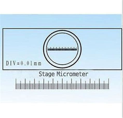 0 01MM Microscope Stage Micrometer Calibration Slide With Measurement