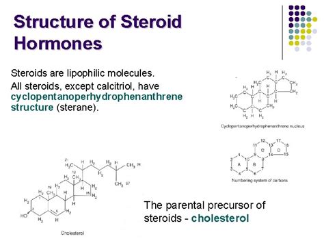 Steroid Hormones Chemical Classification Of Hormones Are Chemical