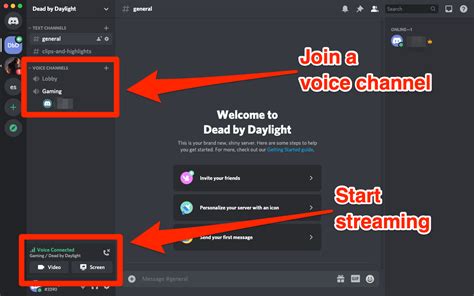 How To Stream On Discord And Broadcast Your Webcam Or Screen To