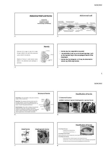 Abdominal Wall and Hernia - PDF | PDF | Diseases And Disorders | Anatomy