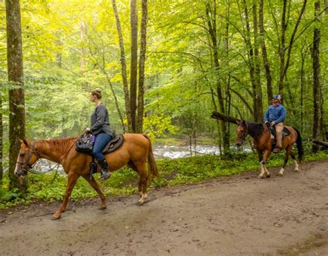 Horseback Riding Trails In Deep Creek Near Bryson City