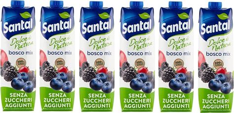 6 X Parmalat Santal Succo Di Frutta Bosco Mix Dolce Di Natura Zero