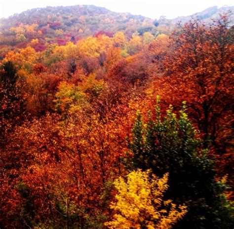 Ansa It Belluno Ottobre Foliage Nelle Dolomiti Tra I