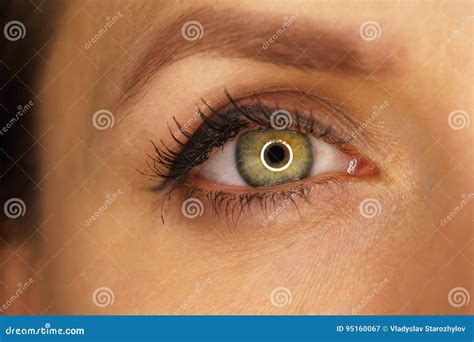 Beautiful Female Green Eye Close-up Stock Image - Image of face ...