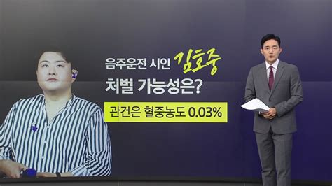 사회 음주운전 김호중 처벌 가능성은관건은 003 앵커리포트 Ytn