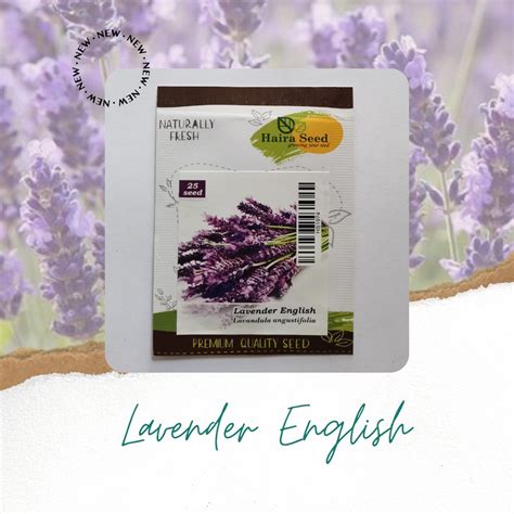 Jual Benih Bunga Lavender English Haira Seed Indonesia Shopee Indonesia