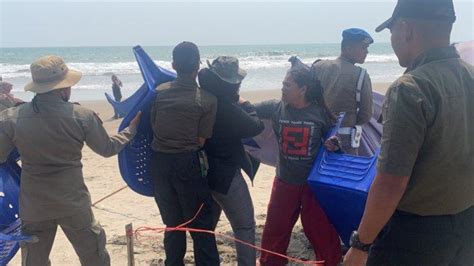 Penertiban Pkl Di Pantai Padang Ricuh Pkl Dan Petugas Saling Tarik