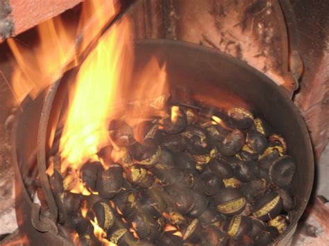 Feste E Sagre In Basilicata Gli Eventi Di Sabato E Domenica