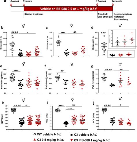 Ifb Treatment Improves Motor Function And Nerve Conduction Velocity