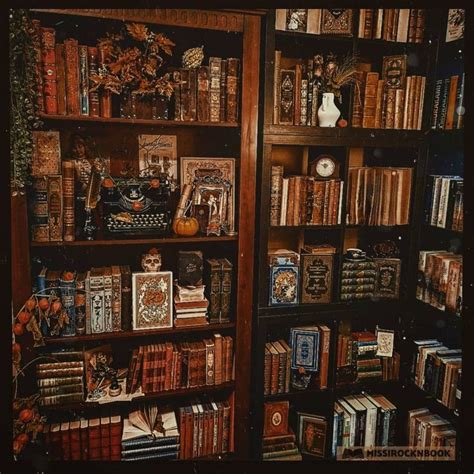 There Are Many Books On The Shelves In This Room And One Is Full Of Them