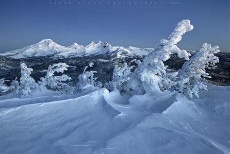 Snow Covered Trees in Bend, Oregon