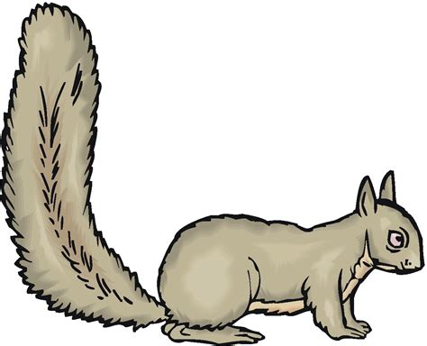 Squirrel Clipart Clipart Best