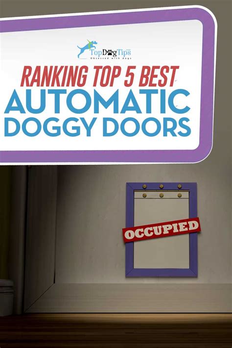 The Best Electronic Automatic Dog Doors – Top Dog Tips