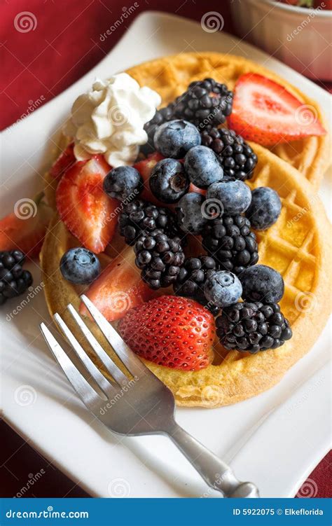 Waffles With Fruit Stock Image Image Of Fork Food Blackberries