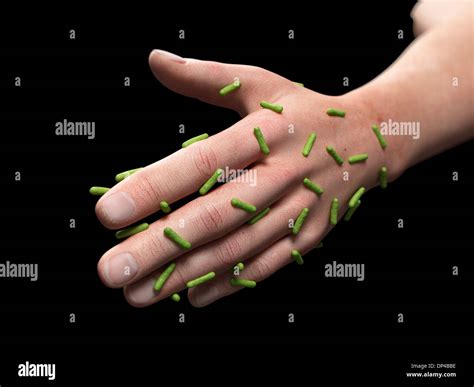 Skin Bacteria Artwork Stock Photo Alamy