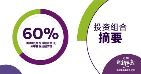 投资组合摘要 概览 淡马锡年度报告2021