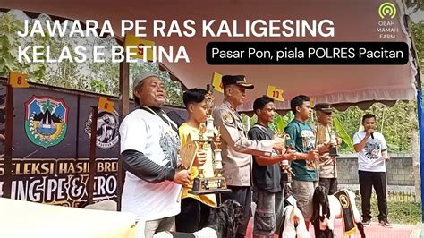 Final E Betina Kontes Kambing Pe Pasar Hewan Pon Piala Kapolres