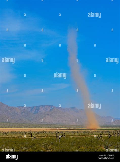 Dust Devil Whirlwind formed in the Sonoran Desert of Arizona Stock ...