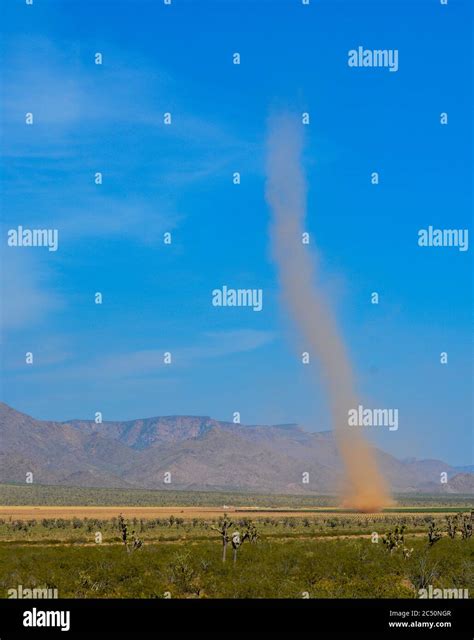 Dust Devil Whirlwind formed in the Sonoran Desert of Arizona Stock Photo - Alamy