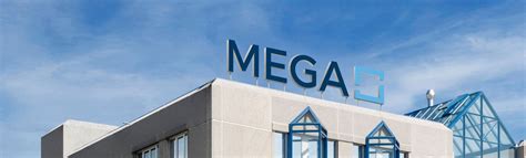 Organisation – MEGA