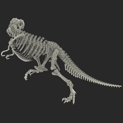 Dinosaur T-Rex Bones 3D Model $99 - .ma .3ds .lwo .obj .max .c4d - Free3D