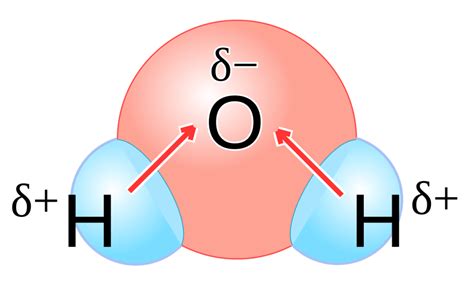 How To Identify A Polar Covalent Bond