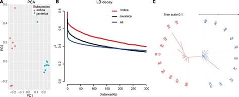 Frontiers Whole Genome Resequencing Of 20 Accessions Of Rice