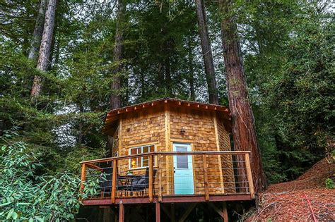 California Tree House Santa Cruz Santa Cruz Redwoods Hd Wallpaper