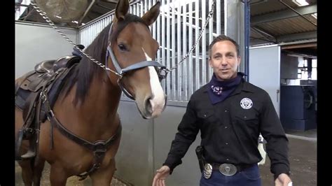 Lapd Mounted Unit Photos At John Gaffney Blog