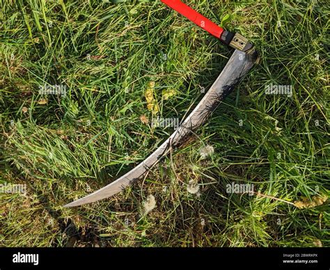 Mowing The Lawn In The Traditional Way With Scythe Stock Photo Alamy