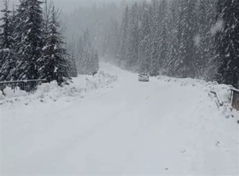 Cod Ro U Pentru Fenomene Meteo N Zona Montan A Jude Ului D Mbovi A