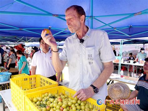 南丹万亩“李中皇后”黄腊李成熟上市，销售火爆 广西县域经济网