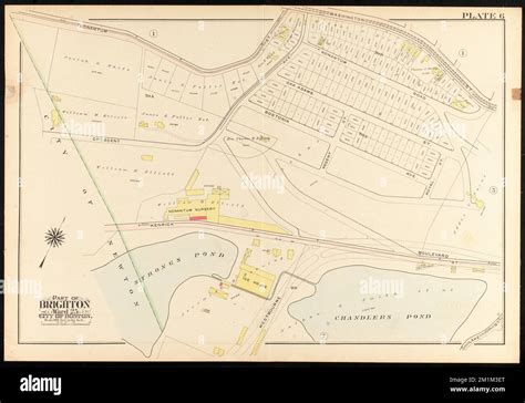 Atlas Of The City Of Boston Ward 25 Brighton Plate 6 Boston Mass