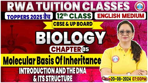 Class Biology Chapter Molecular Basis Of Inheritance The Dna