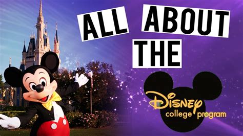 All About The Disney College Program The Ultimate Guide To The Dcp