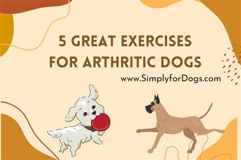 Arthritic Dogs Exercises Archives - Simply For Dogs