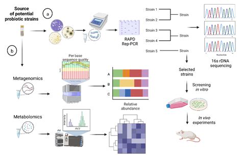 Microorganisms Free Full Text Strategies For The Identification And