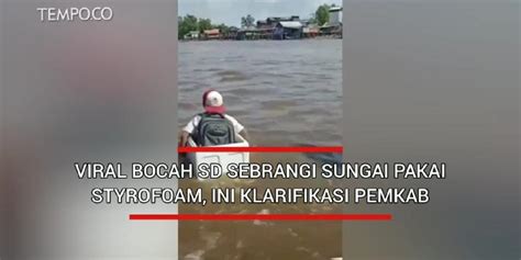 Viral Bocah Sd Seberangi Sungai Pakai Styrofoam Ini Klarifikasi Pemkab