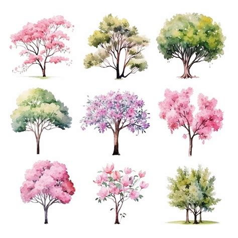 Árvores de aquarela de flores isoladas em fundo branco a coleção de