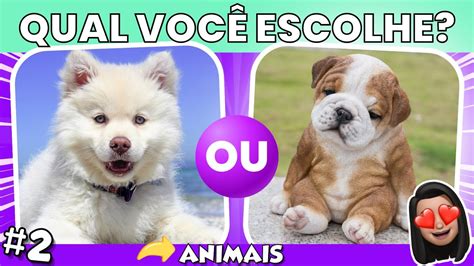 O Que Você Prefere Versão Animais O QUE VOCÊ PREFERE ANIMAIS