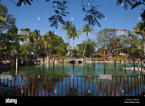 VENETIAN POOL MUNICIPAL SWIMMING POOL CORAL GABLES MIAMI FLORIDA USA ...